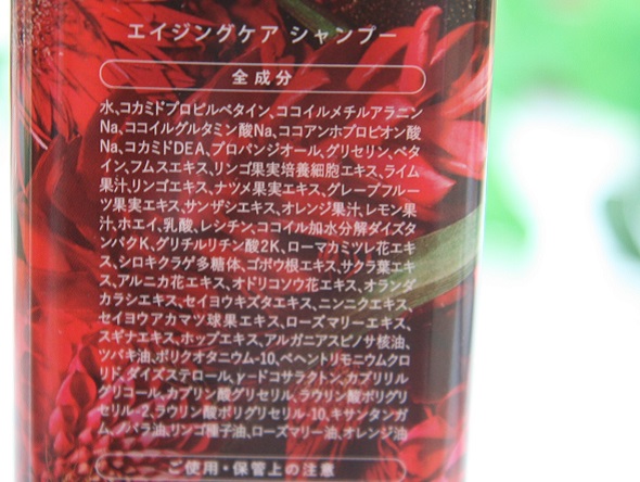 03.jpg
