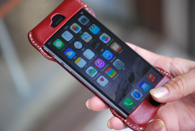 A.iPhone6Case30.jpg