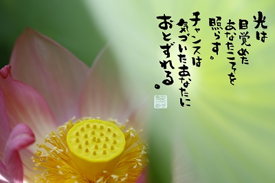 Ï¡¸÷¤ÏÌܳФ᤿400.jpg
