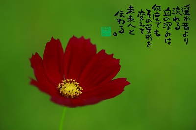 ¥³¥¹¥â¥¹ÀÖ400.jpg
