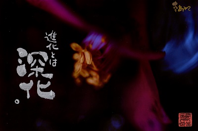 A4¿¼²½400.jpg