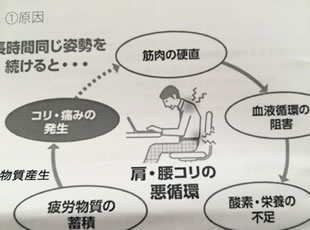 誕生日研修資料