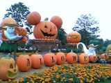 ランド ハロウィーン2