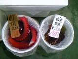 酢だこ