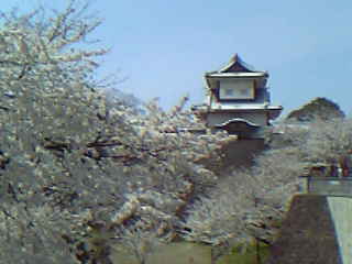 石川門と桜2