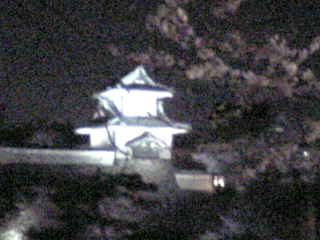 石川門と夜桜