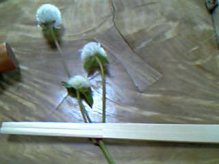 花川 箸置き