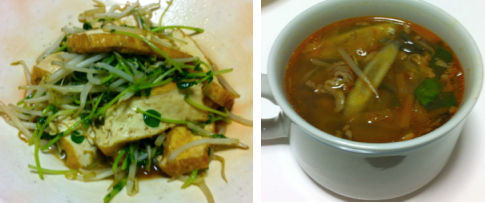 モヤシと豆苗