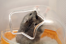 砂場がじがじ
