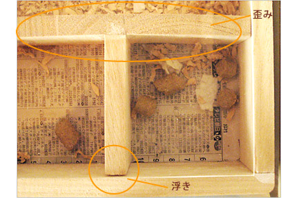 貯蔵室(仮)付近のアップ