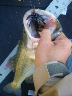 Image011.jpg