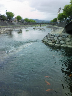 080505_1035~01.jpg