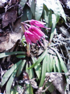 080506_1232~01.jpg