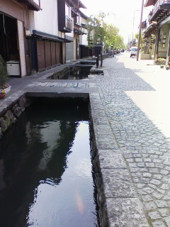 080506_1502~01.jpg