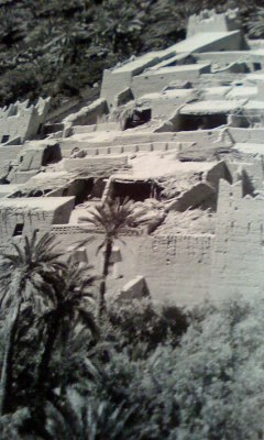 100515_1956~01.JPG