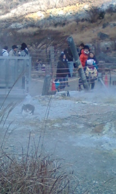 120104_1420~01.JPG