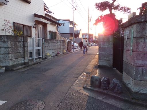 DSCF7249_512.jpg