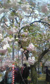 20070411_218380.jpg
