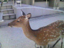 200709181049000.JPG