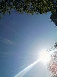 080510_1523~01.jpg