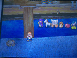 DQ5_1