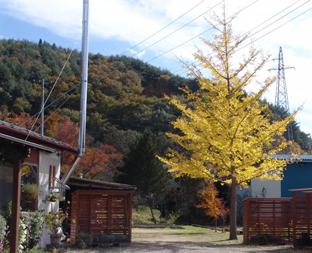 紅葉
