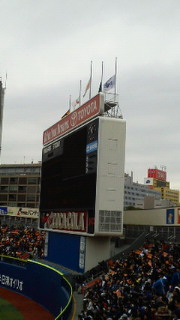 201104031254000.jpg