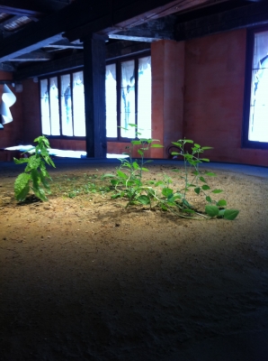 photo-2.jpg