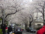 SN3D03480001.jpg