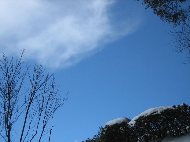 1/17空