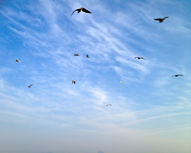 新年の空