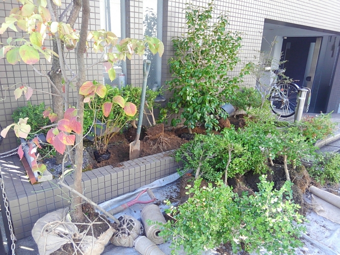マンションの植栽リフォーム Niwa Mori 日記 From Kyoto