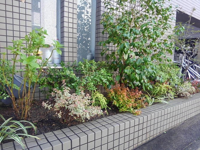 マンションの植栽リフォーム Niwa Mori 日記 From Kyoto