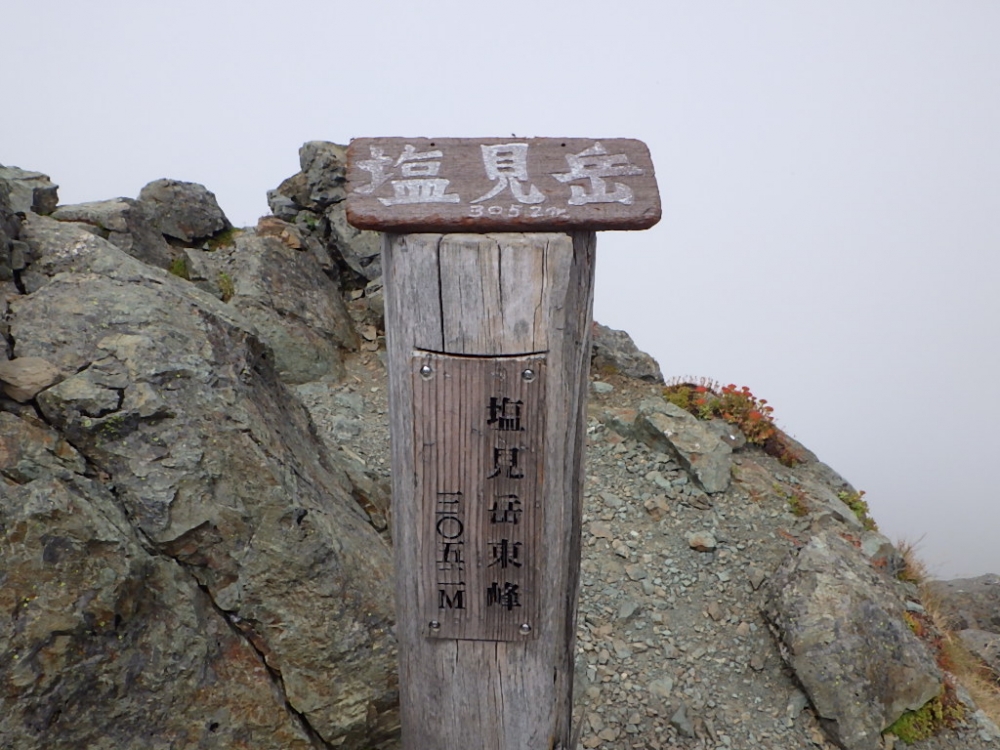 29.JPG