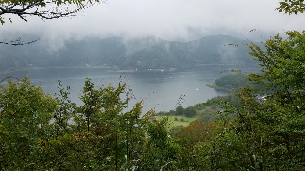 20180929_105244.jpg