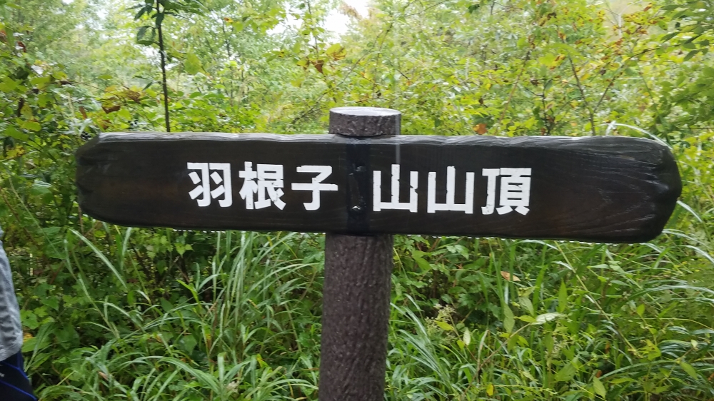 20180929_105252.jpg