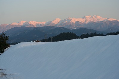 s-183_8320.jpg