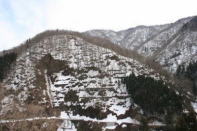 s-頽雪.jpg