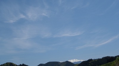 s-P5130014.jpg