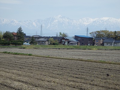 s-P4200004.jpg