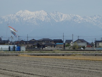 s-P4200008.jpg