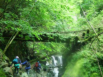 姿をとどめる木造橋