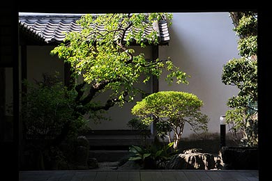 旧三省銀行の座敷奥にある中庭