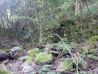 鴨猪谷の軌道?道路?の遺構