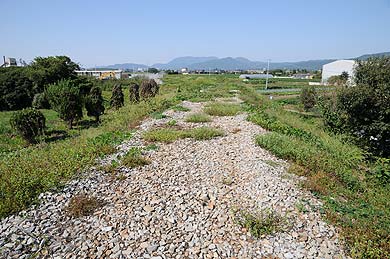 キリンビール福岡工場引込線の築堤跡の上部