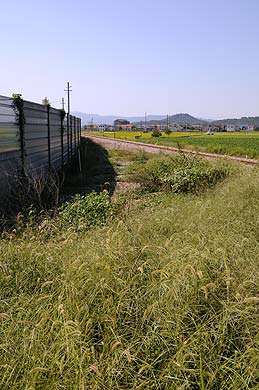 D地点