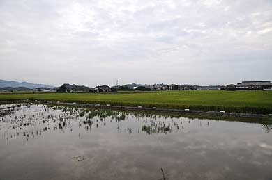 大浜飛行場 滑走路の痕跡はない