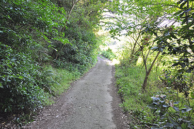 戸馳島灯台への道01