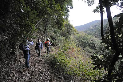 城山銅山跡