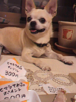 2011091120140000.jpg